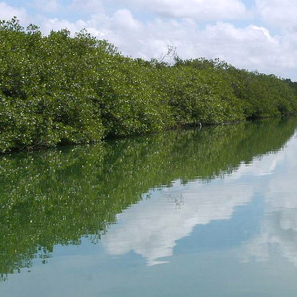 Rio Hondo
